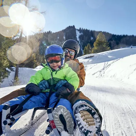 公寓 Alpenferienwohnung Deluxe *